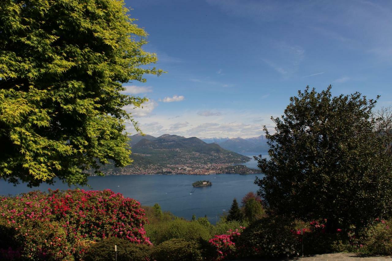 Belvedere 4