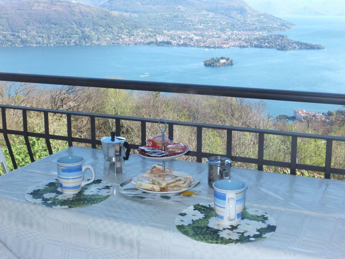 Belvedere 4